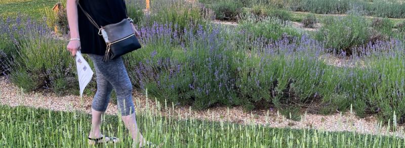 Woman walks along row of lavender plant.