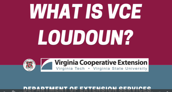 What is VCE Loudoun
